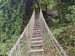 -南丹山森林王国