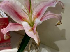 -沈师傅四季烤鸭小馆(荣盛华府店)