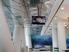 -贝林大翅鲸简餐厅(国家海洋博物馆店)