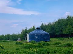 -红崖峡谷景区