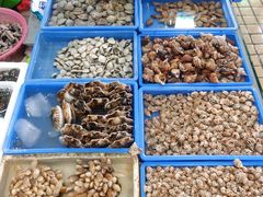 -大东海海鲜酒楼(渔人码头总店)