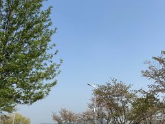 -羊山湖公园