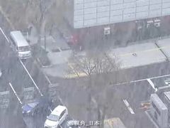 -札幌市资料馆(旧札幌控訴院)