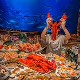 成都海鲜天花板🦐怎么会拒绝一整只麻辣大波龙呢