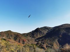-妙峰山风景名胜区