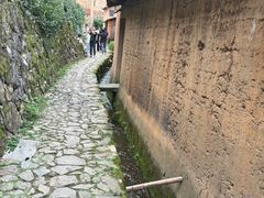 -杨家堂村