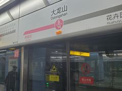 -大龙山(地铁站)