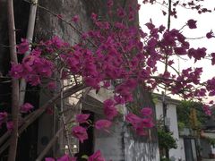 -三溪村