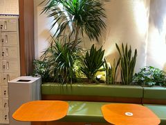 -奈雪的茶(石家庄万象城店)