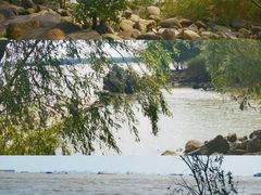 -上海吴淞炮台湾国家湿地公园