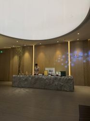 -VELEE·SPA高定疗愈会所