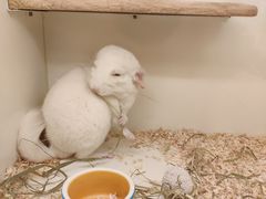 -龙猫仔乐园(惠福东路店)