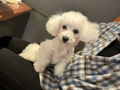 -新贝乐意大利餐厅(苏州中心店)