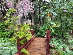 -谷咖啡·鲜花绿植花园餐厅