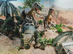 -国家自然博物馆