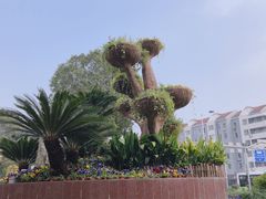 -七宝老街-闵行市民文化广场