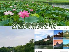 -颐和园