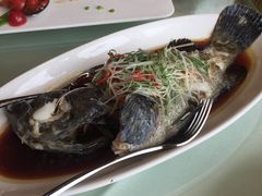 -梧桐餐厅(泉城路店)