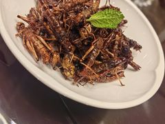 -燕春楼(海河华鼎店)