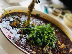 -陈胖子鱼庄(黄辣丁新津店)