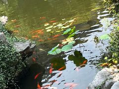-南京市民俗博物馆(甘熙故居)