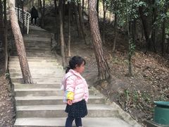 -壹华里·市集
