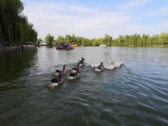 -洛阳马蹄泉旅游度假村