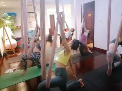 -Yvon yoga 瑜伽·精准体态管理中心