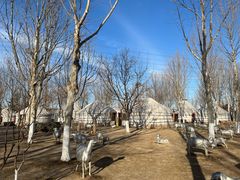 -九十九顶毡房(阜石路店)