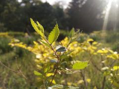 -哈尔滨文化公园