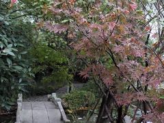 -武汉园博园(武汉自然博物馆)