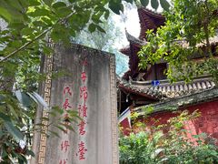 -子昂故里文化旅游区