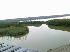 -大湾区中央湿地公园