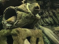 -珠海长隆海洋王国