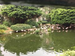 -九龙公园