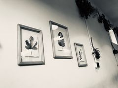 -小时光咖啡馆(北锣鼓巷店)