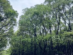 -动邦皮划艇·桨板·独木舟·团建户外运动俱乐部
