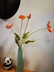 点击看大图 -保丽宝泰母婴护理院·月子中心·产康·中医(常州店)
