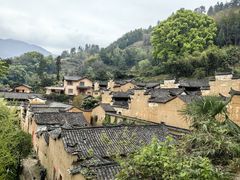 -杨家堂村
