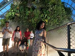 辣椒螃蟹-横行八道海鲜(裕廊西店)