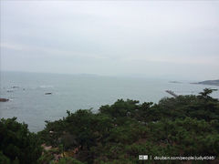image-八大关景区