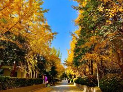 -陕西师范大学(雁塔校区)