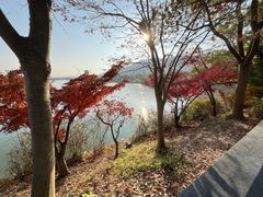 -长广溪湿地公园