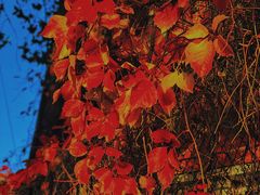 -斯多格书乡(北京大学畅春园店)