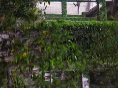 -东莞市大岭山森林公园
