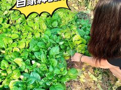 -小乡小镇·传承桐庐土菜·老板亲自烧的菜