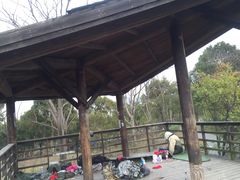 -新江湾城公园