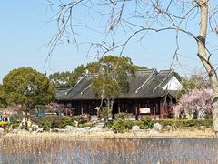 -上海海湾国家森林公园