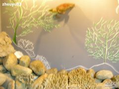 -亚龙湾中心广场·贝壳馆