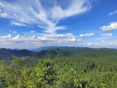 -武陵山森林公园